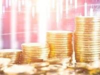 险资出手，今年首次举牌